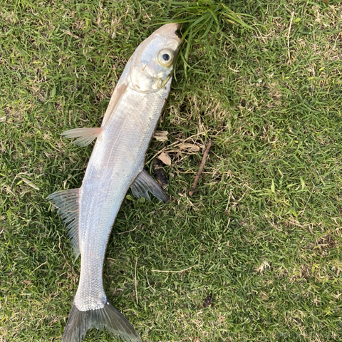 糖醋快乐水于2023-04-25 16:13发布的图片