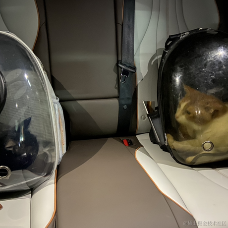 果子掘金之路于2022-11-19 19:08发布的图片