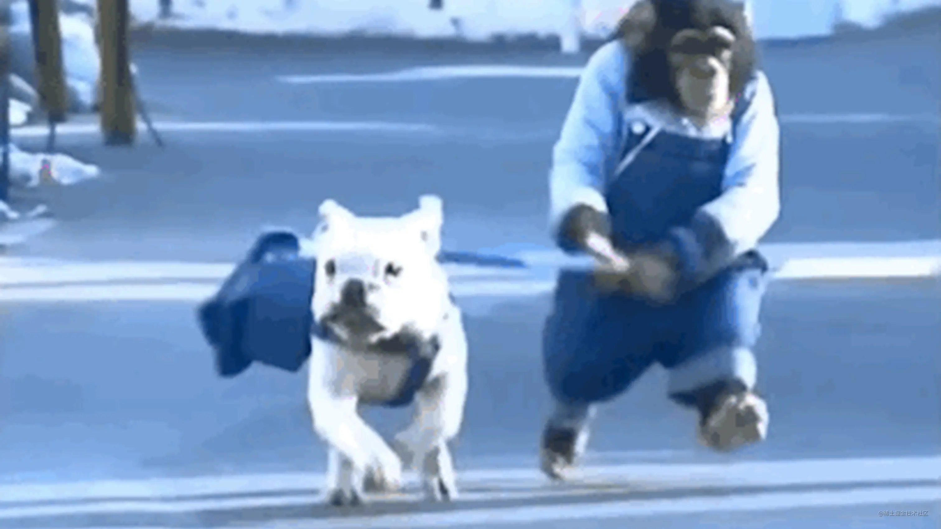 想要白嫖正则是吧？这一次给你个够！