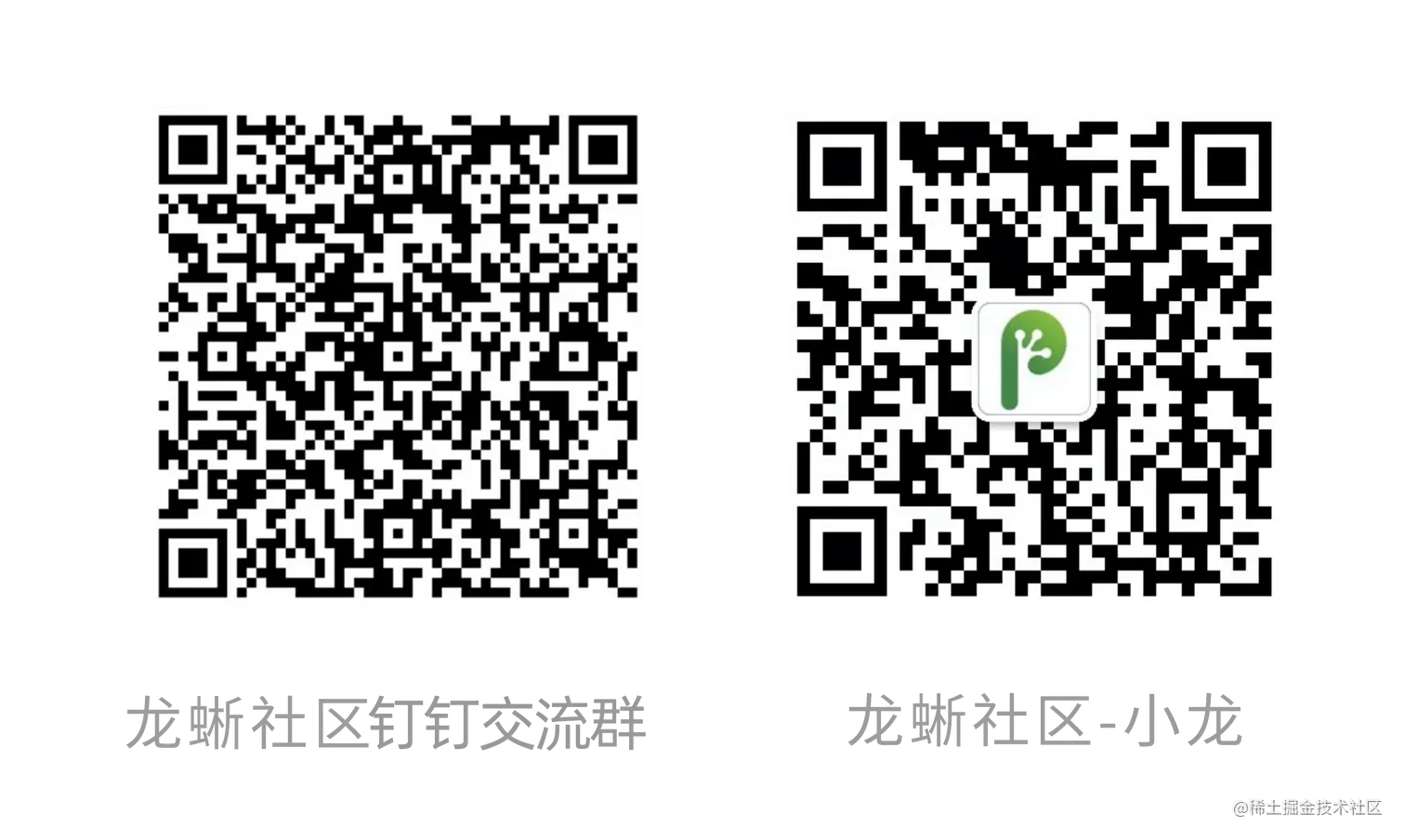 公众号&小龙交流群.png