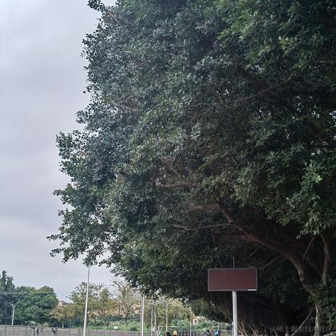 接受再见于2023-05-08 19:13发布的图片