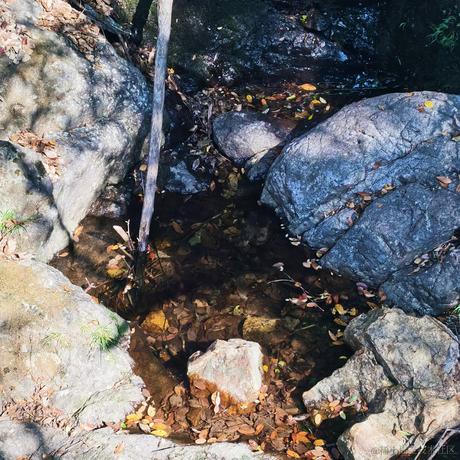 一凯恩一于2022-11-16 09:18发布的图片