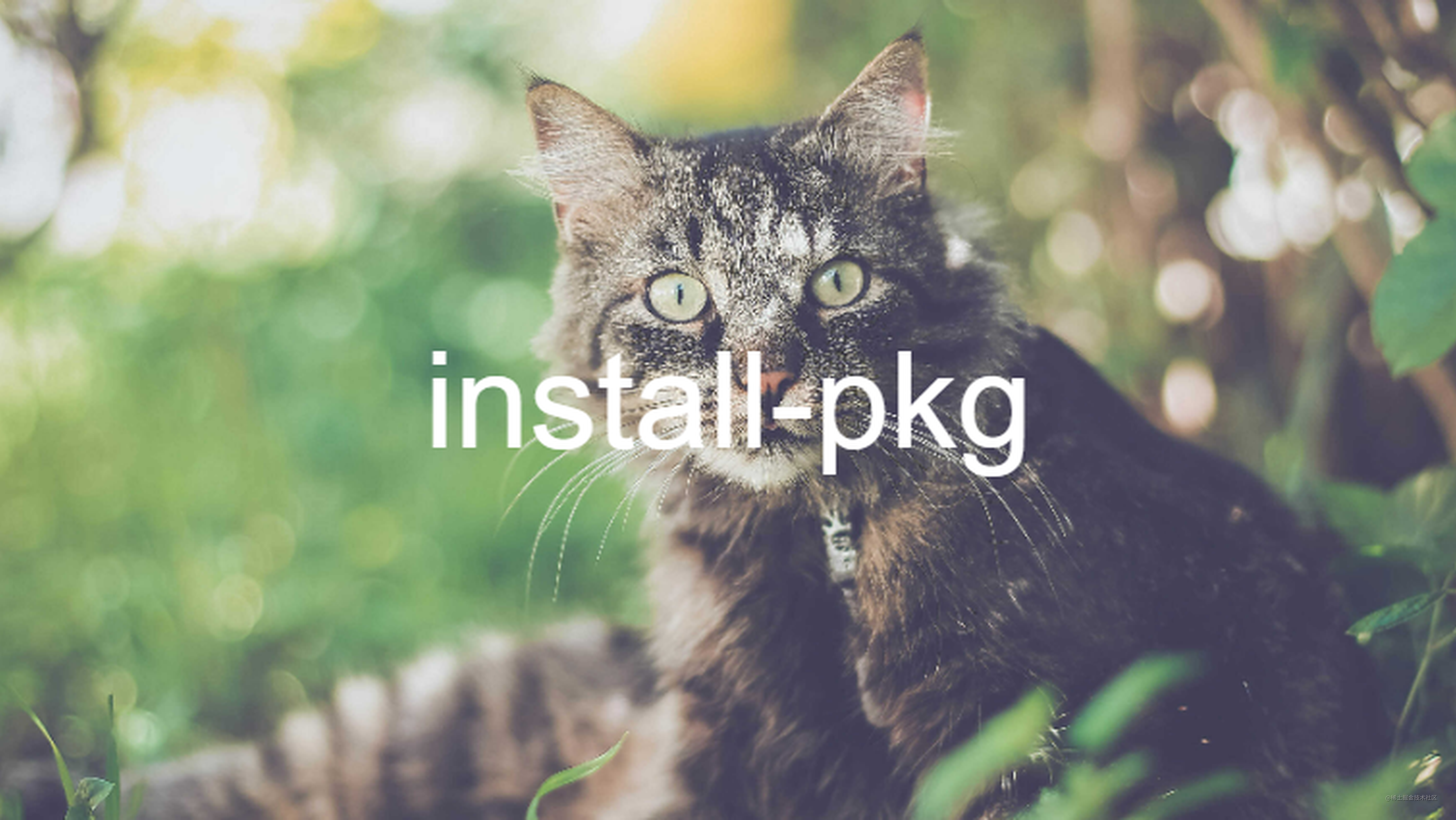 第20期 | install-pkg