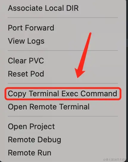 Copy Terminal Exec Command