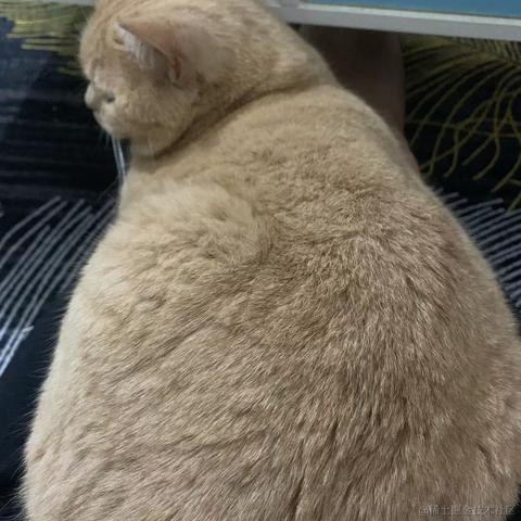 ByteFlow于2022-04-06 17:31发布的图片