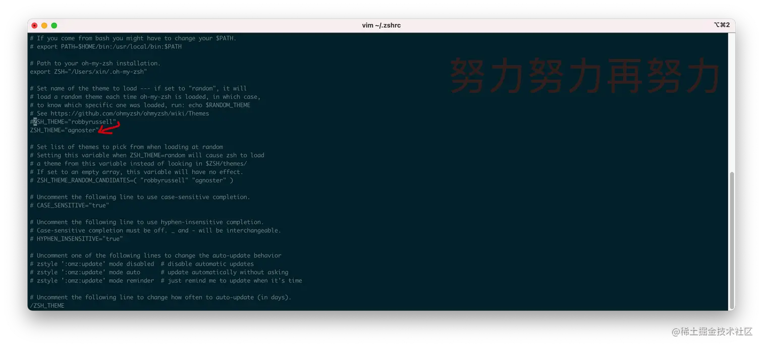 更换专题agnoster