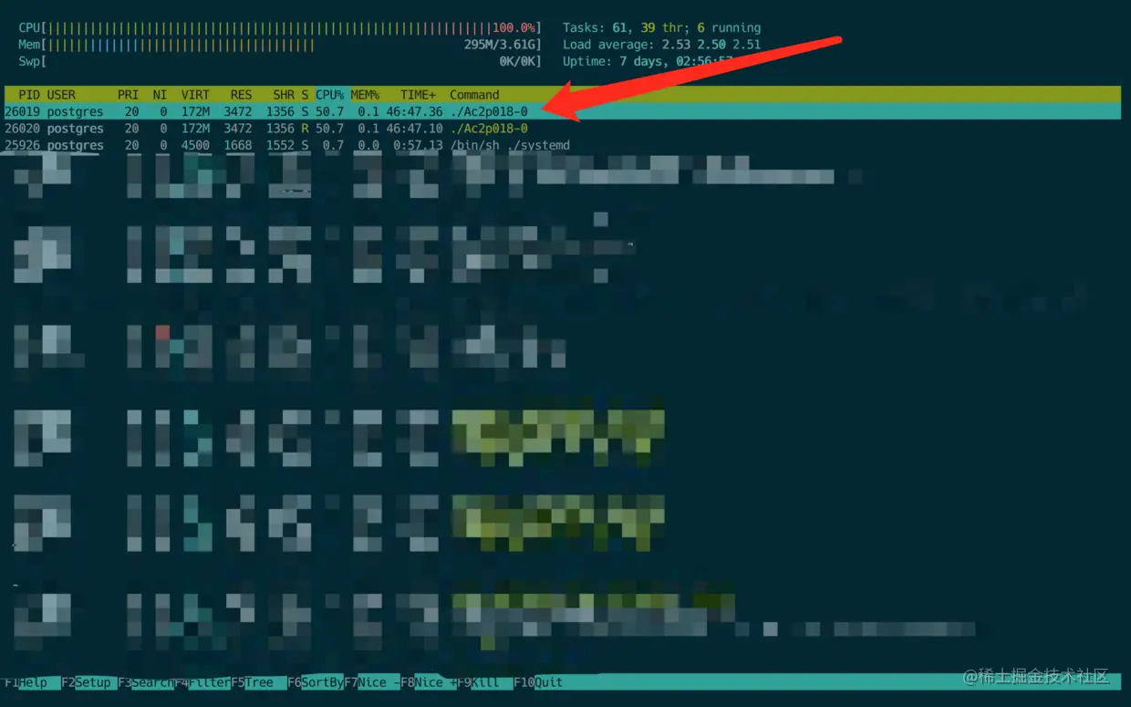 Htop info