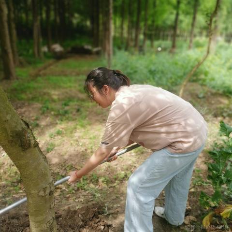 Dorri于2023-04-18 23:15发布的图片