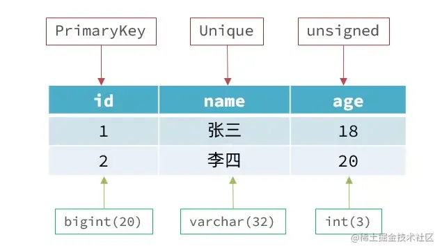 image-20230228191804942