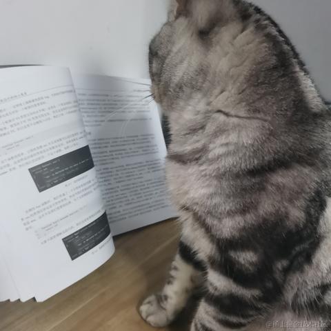 东方小月于2022-06-23 22:32发布的图片