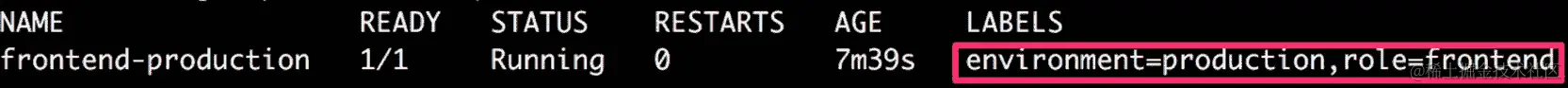 图 6.16：验证 frontend-production pod 的标签