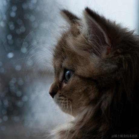 ninenan于2020-12-22 22:44发布的图片