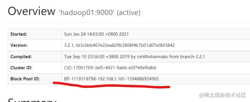 image-20210124165448269