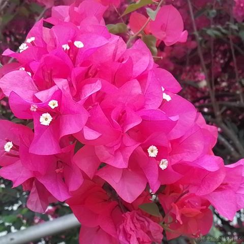 做只小狗耶于2023-06-22 10:40发布的图片