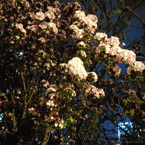 Grong于2023-04-22 21:40发布的图片