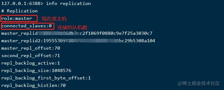 image-20201217153936026