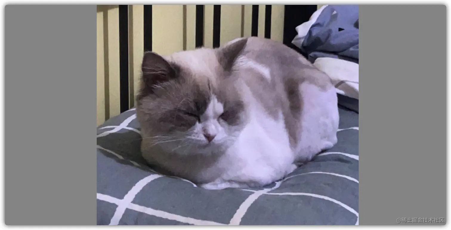 image-20210815173015936