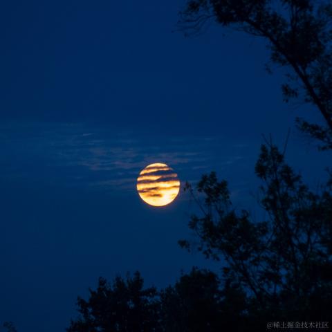 海棠无香于2023-08-31 09:06发布的图片