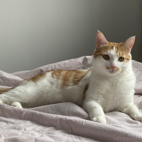 爱吃涮羊肉的Bug开发于2021-10-15 16:26发布的图片