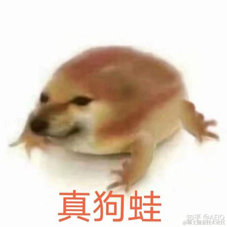 大雪青松于2021-12-03 12:09发布的图片
