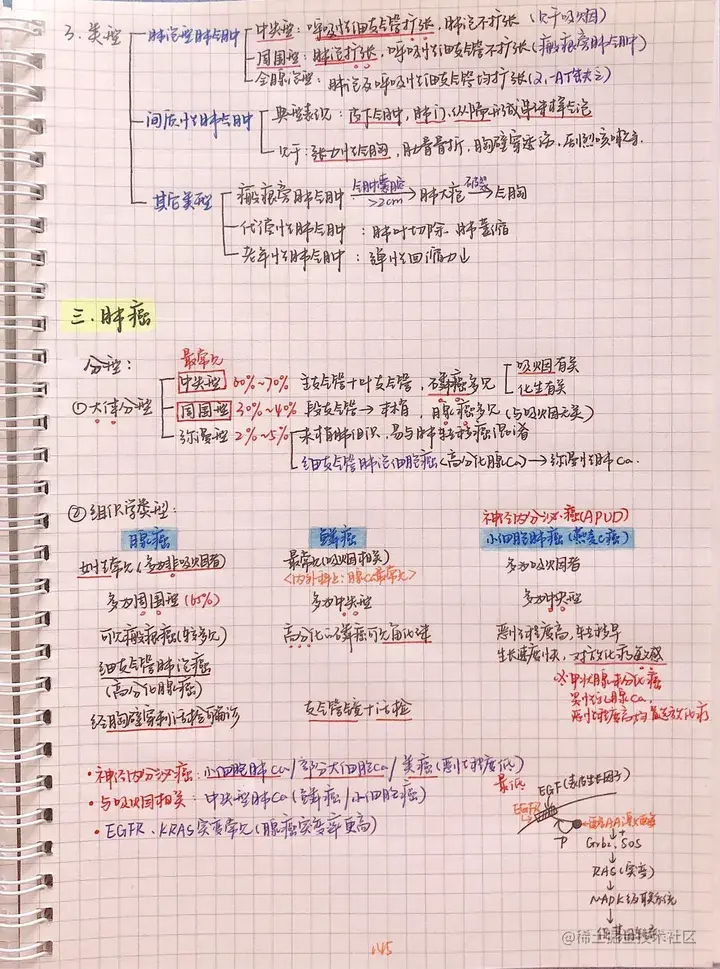 病理手写笔记.pdf