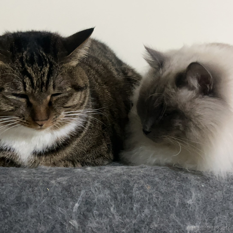 易墨于2023-12-21 00:01发布的图片