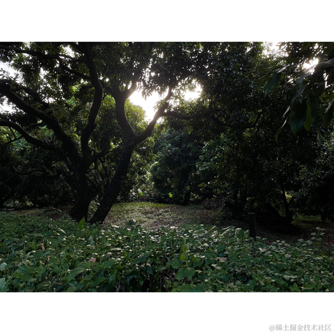 紫菜捏于2022-11-20 10:27发布的图片