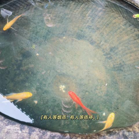 暴躁小刘于2023-03-15 14:30发布的图片