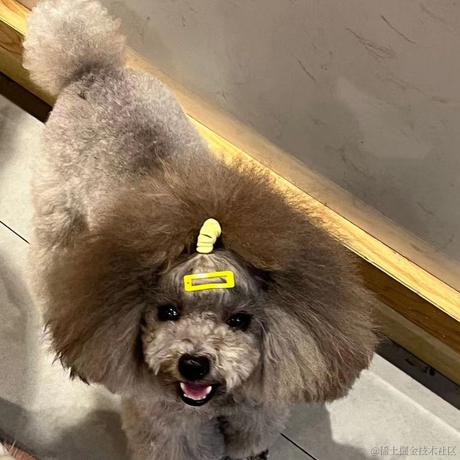 静心晚子于2022-11-26 19:08发布的图片