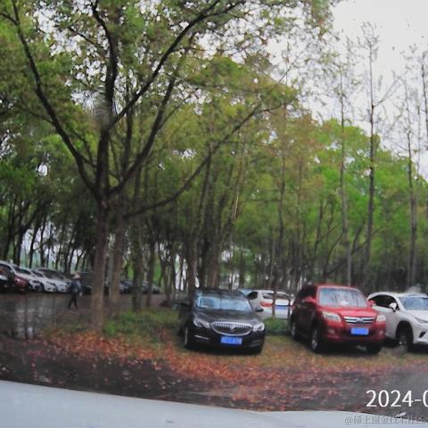 鱼王先生于2024-04-10 11:10发布的图片