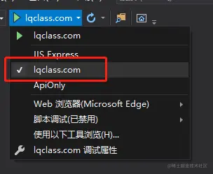 VS直接运行项目