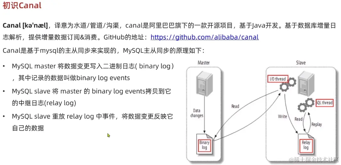 image-20221019155318979