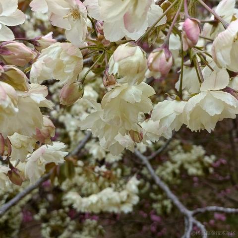 Grong于2023-04-25 22:40发布的图片