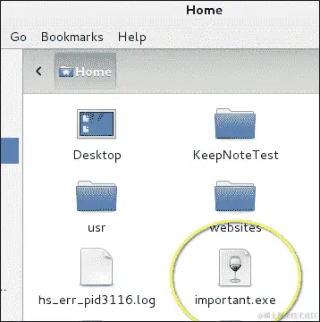 使用 Metasploit 创建自己的载荷