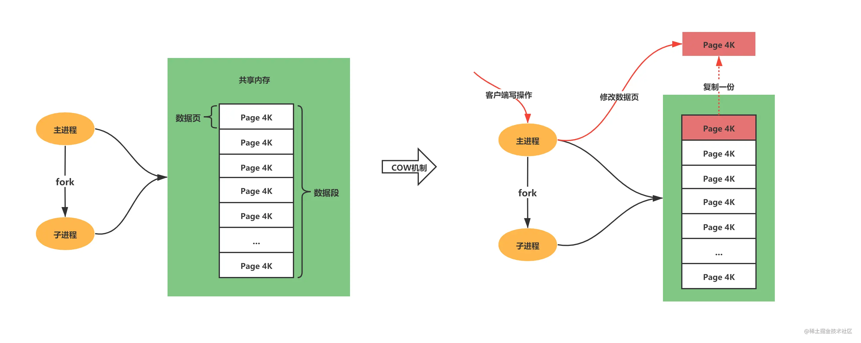 cow示意图 (1).png