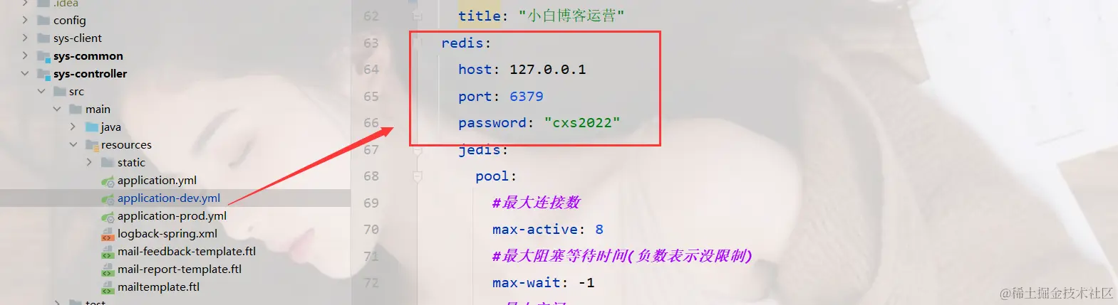 image-20240226155817814