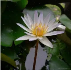 截图 2024-01-18 17-29-59.png
