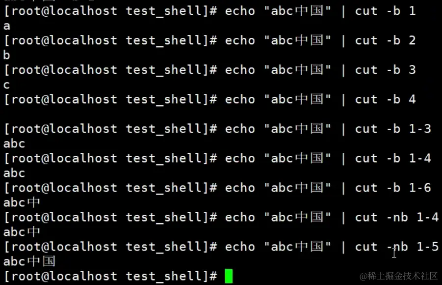 image-20240203102654486