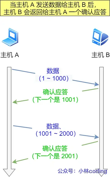 4.webp