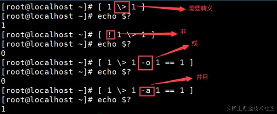 image-20240124223408186