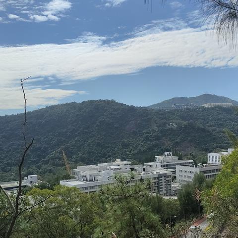 枝江最甜草莓嘉心棉花糖于2022-12-07 21:37发布的图片