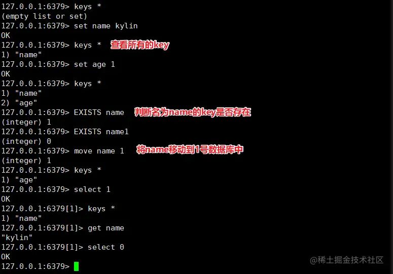 image-20200424105453428