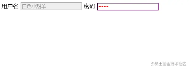 password输入框_PASSWORD