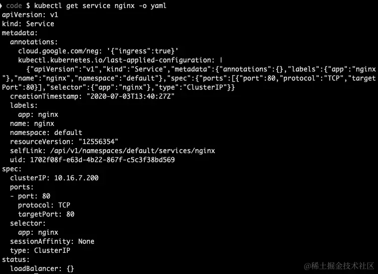 图 4.5 - 导出 nginx 服务