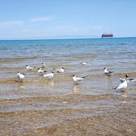 striveLei于2024-05-27 09:35发布的图片