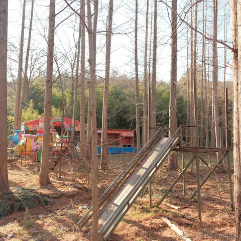 kan5212于2022-12-21 23:25发布的图片