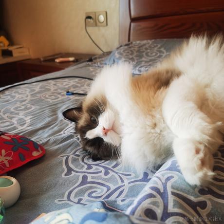 Firmament于2022-12-09 13:11发布的图片