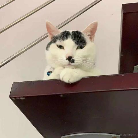 一只小橘猫于2020-12-10 15:41发布的图片
