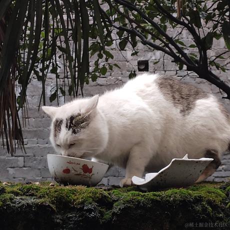 Coca_Cola于2023-01-14 23:48发布的图片