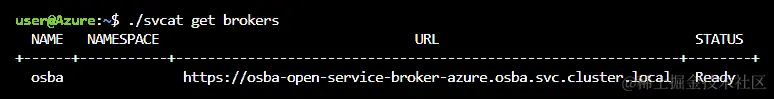 您可以使用./svcat get brokers 命令查看集群中运行的 Azure 经纪人。